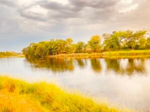 IMG_0188