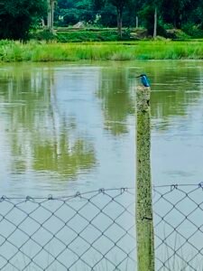 IMG_1476 (1)