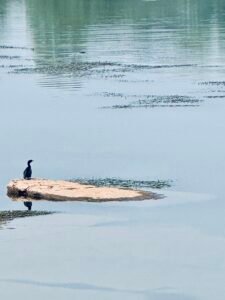 IMG_3370