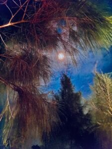 IMG_3983
