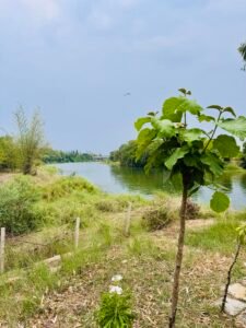 IMG_7872